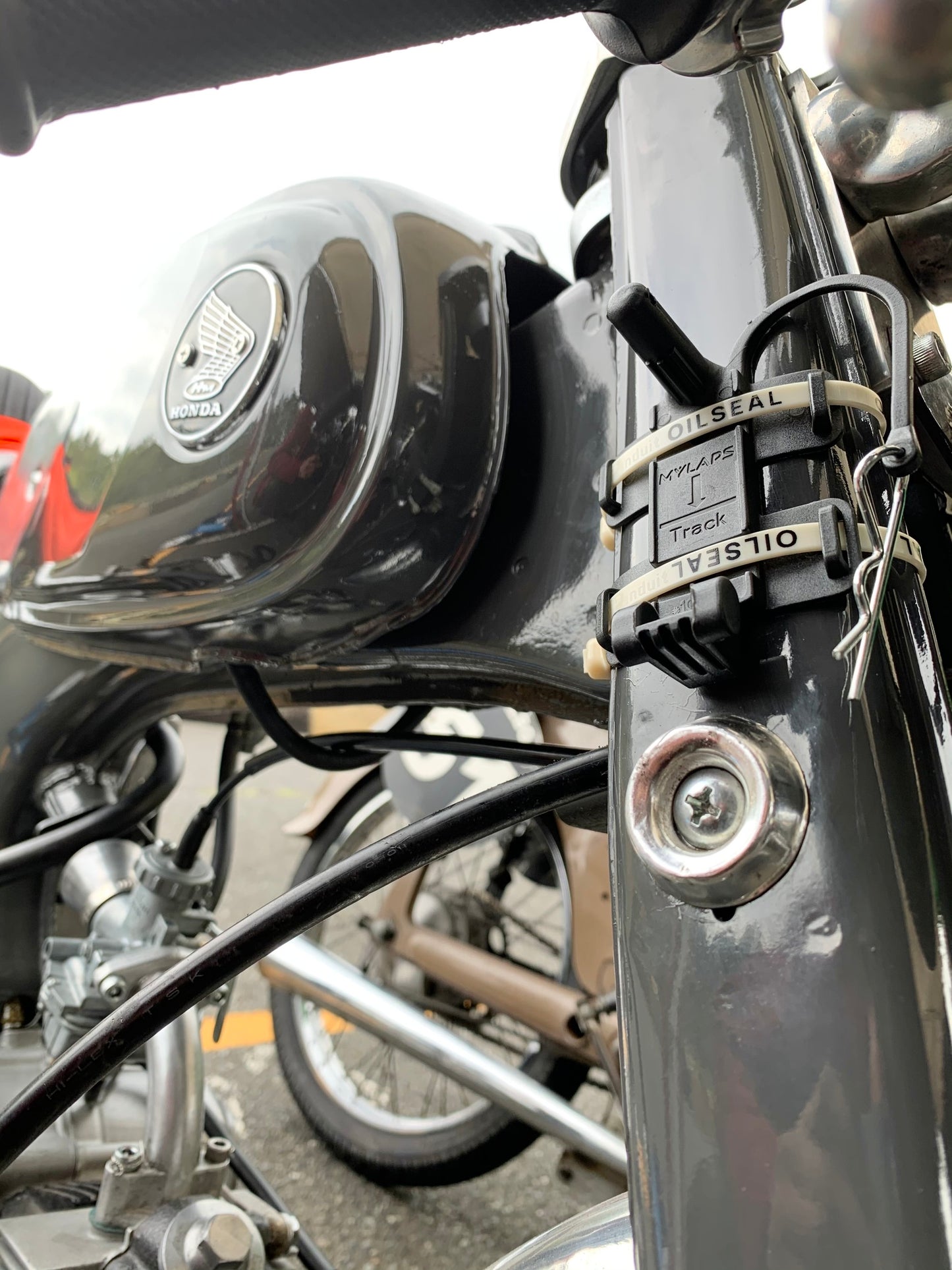 OILSEAL ZIP TIE #IVORY